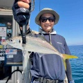 8月12日の釣果報告🐙🐙🐙🐙🐟✖️♾️