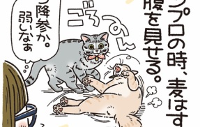 強いんだか、弱いんだか