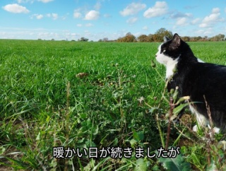 フランスとドイツを結ぶ地域列車TERの失敗・損失