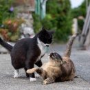ちゃんと怒る。