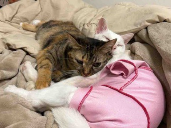 戻ることと戻らないこと　20251113