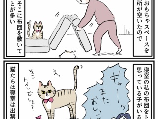 明け方の猫