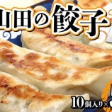 『ふるさと特産品　びはん特製！山田の餃子』の画像