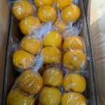 志津駅前　八百屋さん