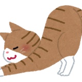 部屋中を走り回って物壊しまくったバカ猫がこちら