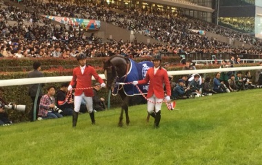 『ステイヤーズステークス・チャレンジカップ  予想(再送)』の画像