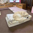 たまには、ひっつく。