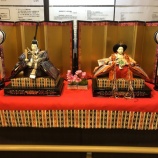 『雛飾り✨🎎』の画像