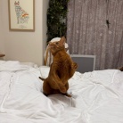 荒ぶるお姉ちゃんを呆然と見るわか坊