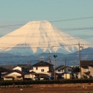 やっと九条葱の植え替えが終わりました・・全部で700本ぐらい？？　