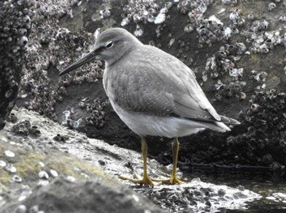 2025年9月28日の野鳥公園