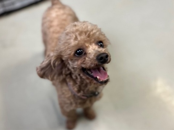 今日も皆さんお疲れ様でした🙏🙏🙏💓