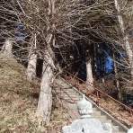 「山は・・・どうだった？」