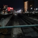 朝散歩 牟呂用水