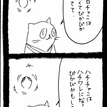 選挙に出馬しよう79
