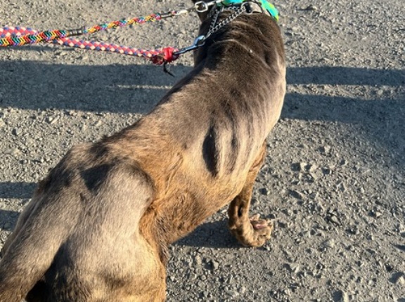 緊急レスキューになりました😱💦