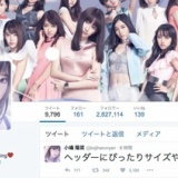 小嶋陽菜「ヘッダーにぴったりサイズや」