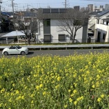 『公共の意識はどこへ 江戸川河川敷の「蛇口」盗難』の画像