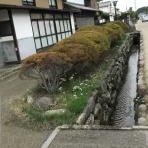 吉川タイムズonline