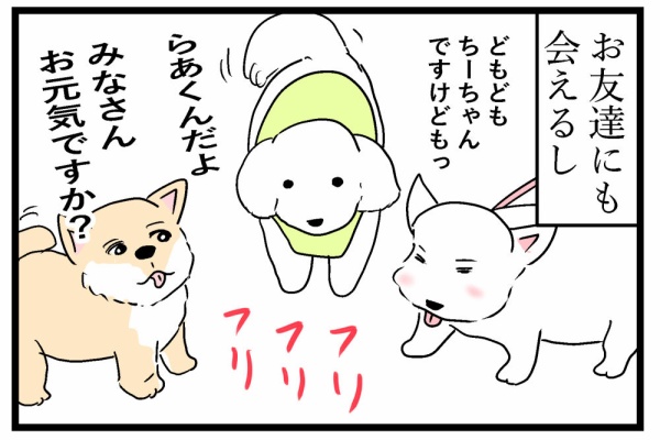 ちいちゃんです。 ちーちゃんですけどもっ第2巻発売中です❗️ (@ymc_cheezu