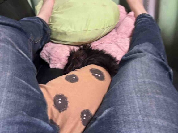 似たような画像ばかりでごめんなさい。