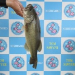 トム・ソーヤ