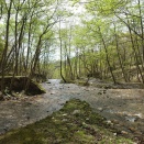 セラピーロード　マキノ高原　調子ヶ滝