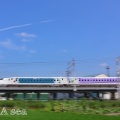 2本お得なチャンスなので
