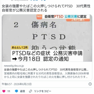 痛いニュース(ﾉ∀`)