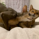 ちび子とぼくちん