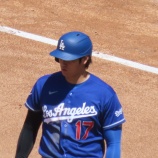『大谷翔平は、ほんのちょっとしか見ることができません。』の画像