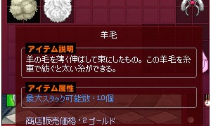 ほかにも間違えて捨てそうになるアイテムがあったぞｗ