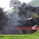 山口線　第１阿武川橋梁のＤ５１