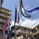 『中庭を泳いでます♫✨』の画像
