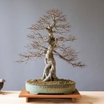 ◇◆ 天才軍師・勘助の株式風林火山！with GS ◆◇