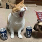 Googleマップを利用する際に気をつけること