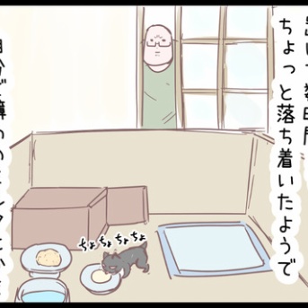 子猫２匹。それぞれ慣らしてジャラシて・・・のまき