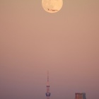 『満月の出の魅力に迫る【追々記】2024/12/16』の画像