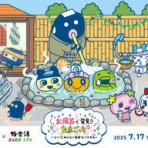 ニュースチャンネル