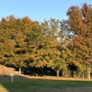 縄文遺跡公園の秋