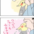 ニューのカキカキ