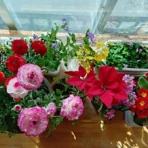 ターシャの布しごと＆花だより