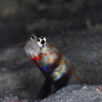 ちくちくのぼやき…♪