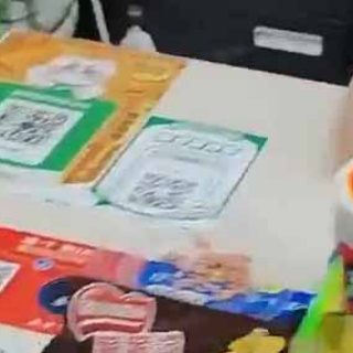 猫の動画 ねこわん！