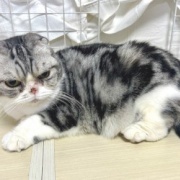 大きな地震でしたが、無事です。