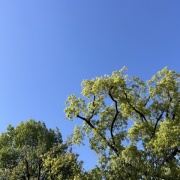 そんな贅沢な使い方、ありですか？