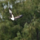 ブルブルッって時、下に下がるよね。