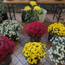 街角の秋の風景