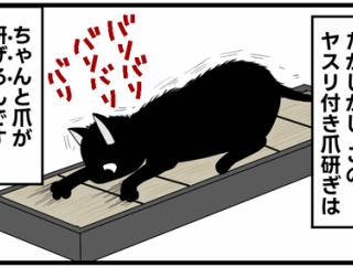 【猫飼い１年生・73】爪切りできなくても大丈夫