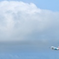 JAL  Jubilee  Express：7/19